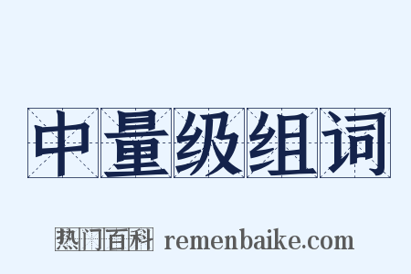 中量级组词是什么意思的图片